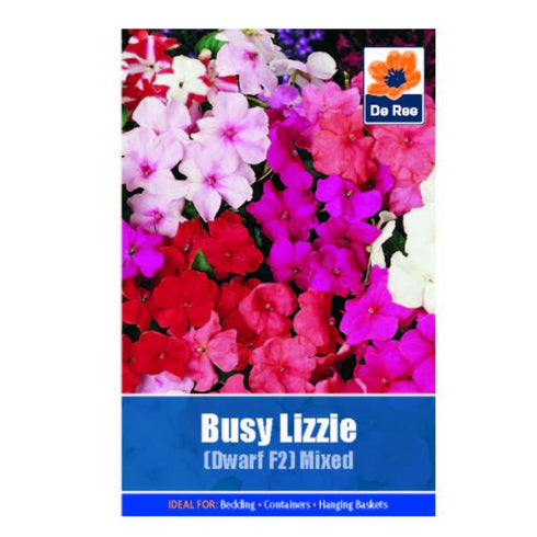 Busy Lizzie Dwarf F2 Mixed